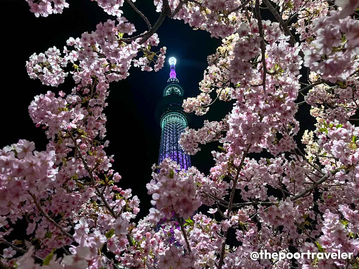 Top 15 Usual Tourist MISTAKES in JAPAN