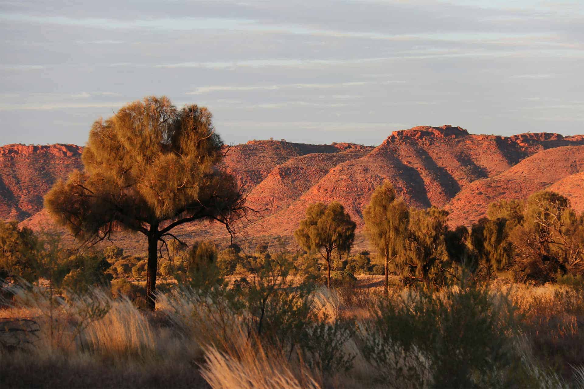 14 Epic Things To Do In The Northern Territory, Australia