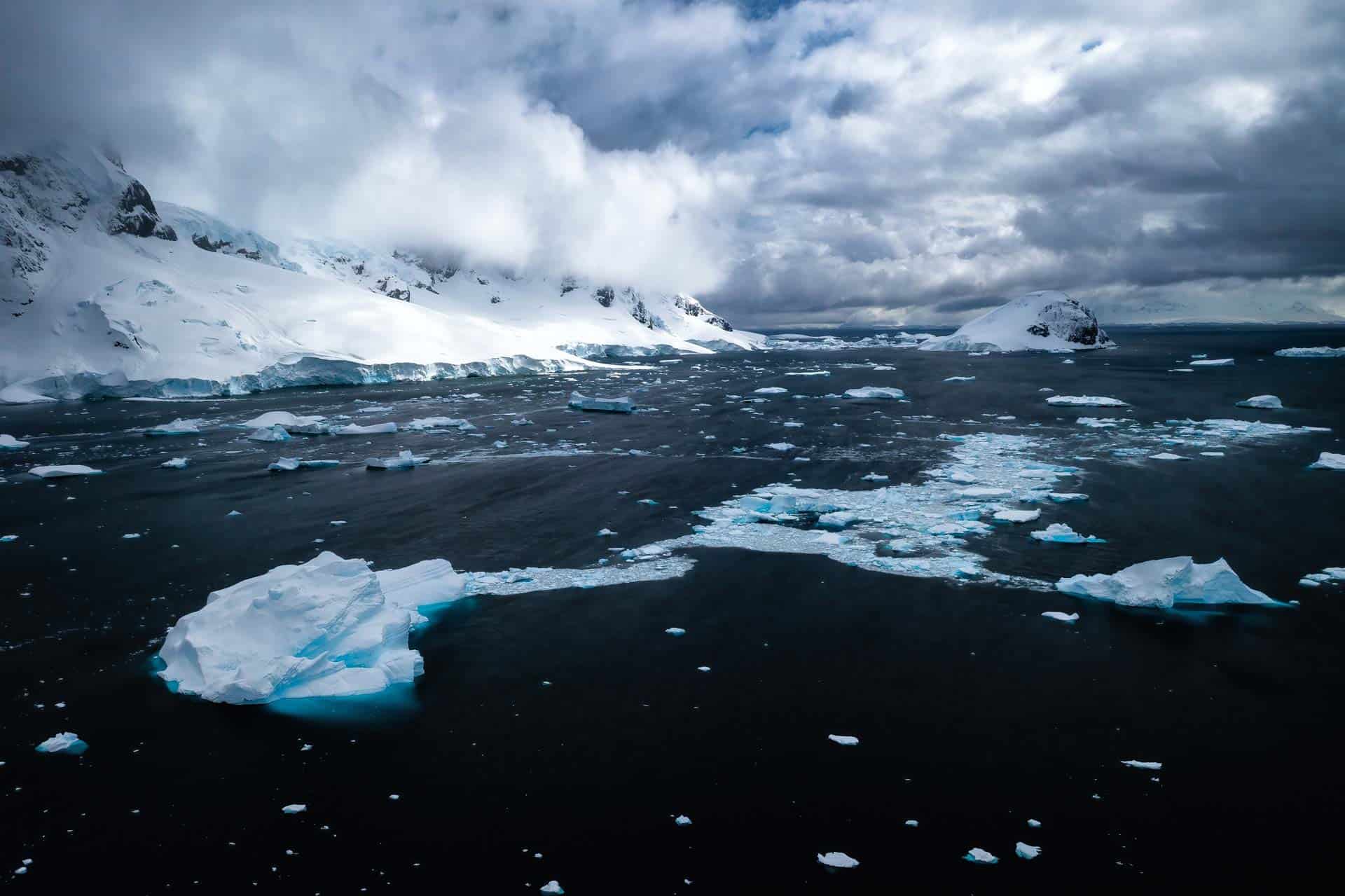 Best Time to Visit Antarctica